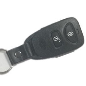 Mua 315MHz Huyndai Key Fob 2 nút Điều khiển xe Santa Fe Accent PLNHM-T00 hoảng sợ sản xuất trực tuyến